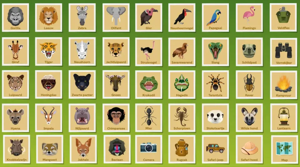 Alle 45 symbolen van Safari Bingo