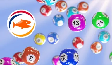 bingo ballen in verschillende kleuren en het logo van Nederlandse loterij
